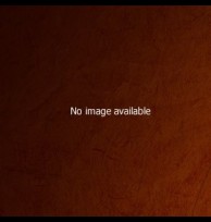 Sperm Whale Oil Artificial  