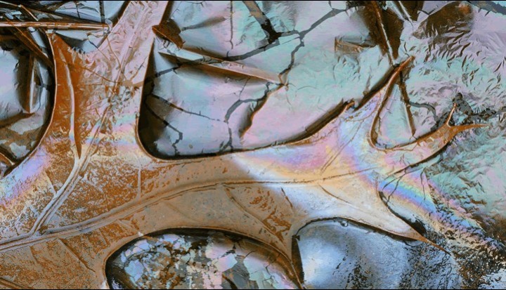 Bases and Preservatives